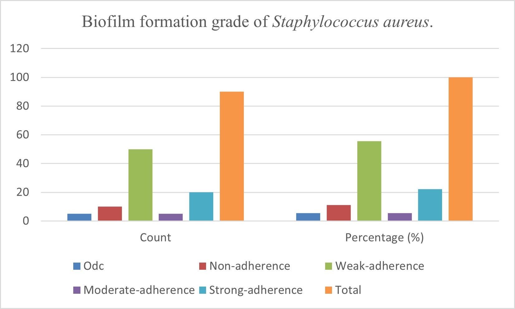 Biofilm Detection of Staphylococcus Aureus Isolated from Oral Infections